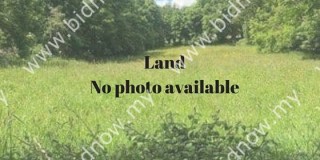 Lot 11794, Kampung Tandop, Tekai, Kedah