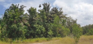Taman Serdang Permai, Off Jalan Haji Mohammad Ali, Kampung Serdang, 32000 Sitiawan, Perak