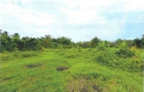 Mukim Of Guntong, Kampung Limbat, 16150, Kota Bharu, Kelantan