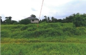 Kampung Limbat, Guntong, 16150, Kota Bharu, Kelantan