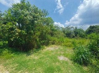 Kampung Seri Damai Off Jalan Kuantan - Gambang, Pahang