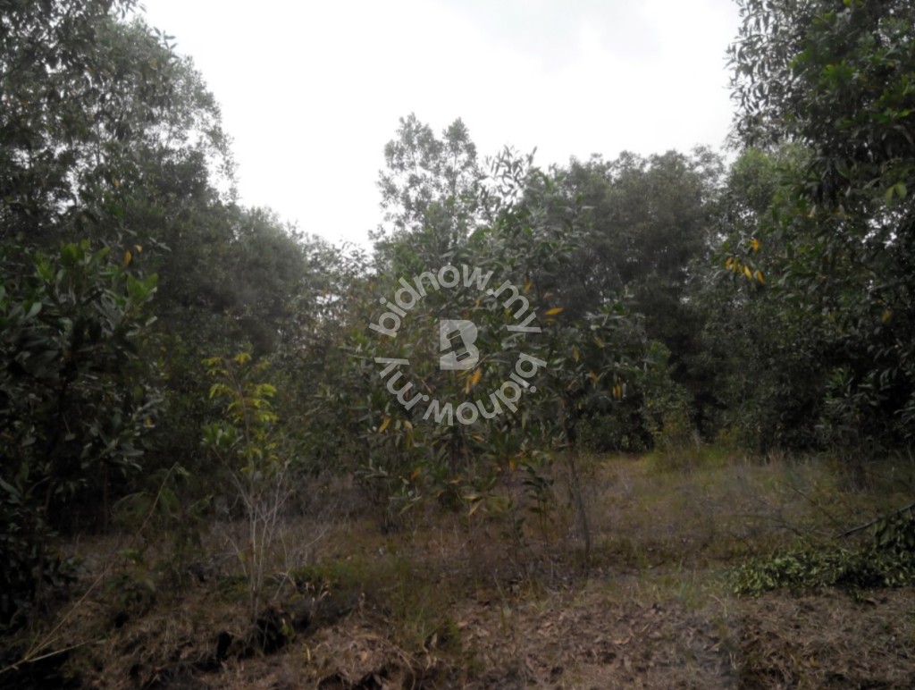 BUNGALOW LOT AMBANG SURIA PUNCAK ALAM