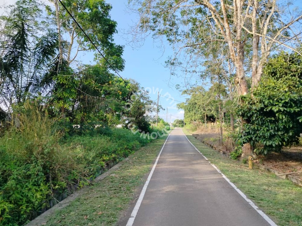 Tanah Kebun Getah